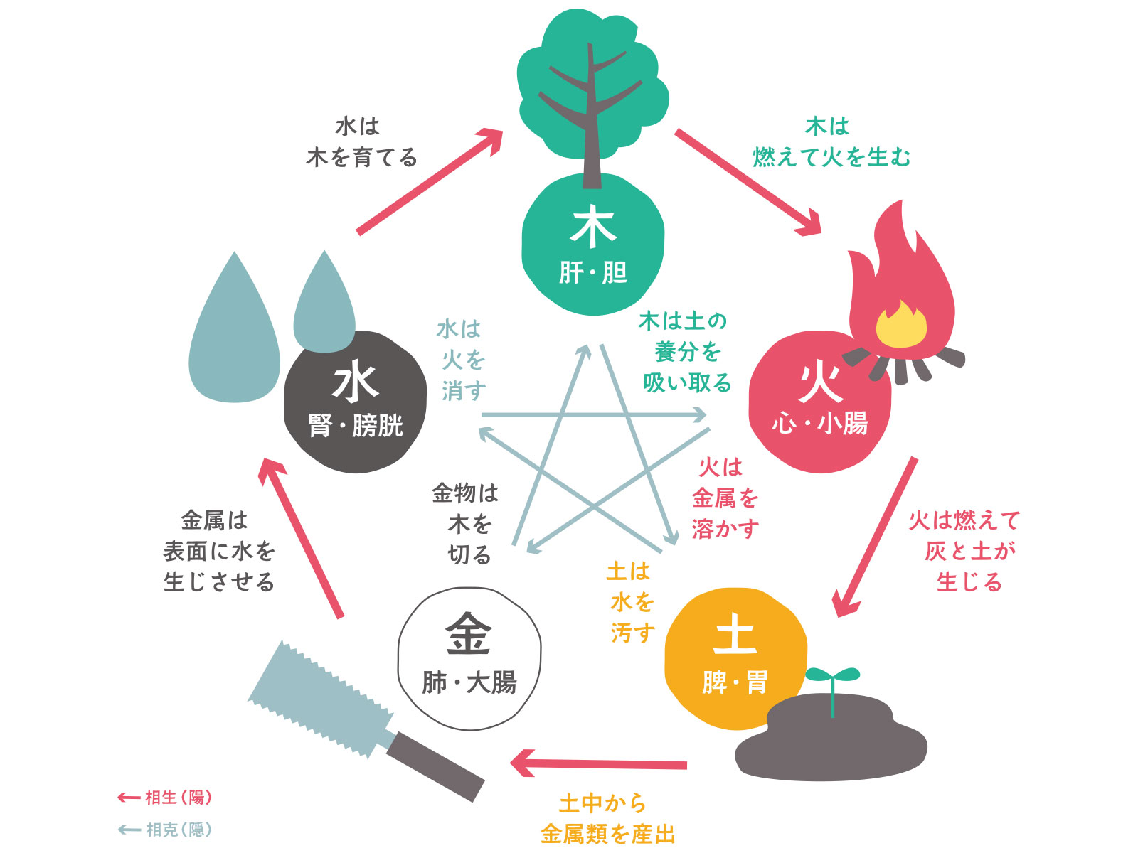 薬膳とは｜初心者向けの基本知識や効果ないといわれる理由 | 一般社団